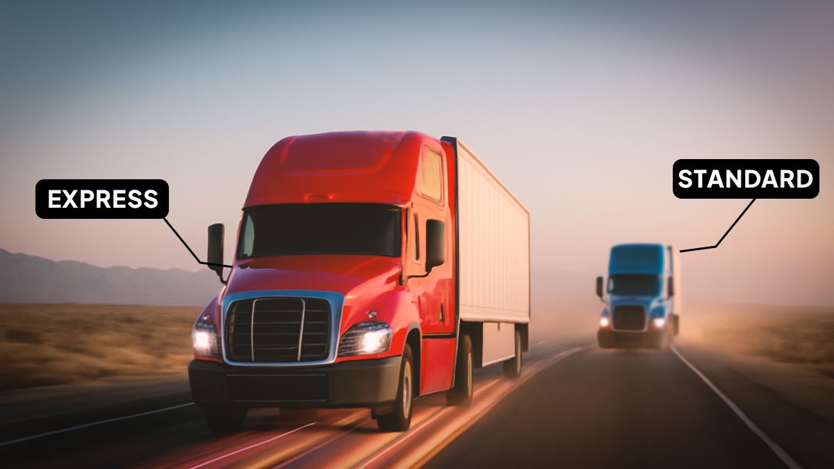 standard vs express shipping